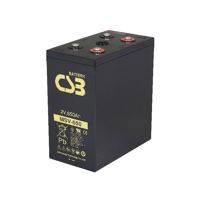 希世比 CSB MSV-650 蓄电池外观展示图